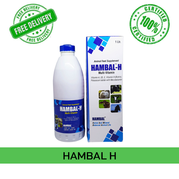Hambal-H-Dr-Goels